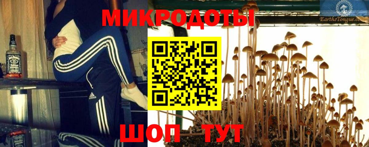 Псилоцибиновые грибы Psilocybe  Псилоцибиновые грибы Psilocybine cubensis  Вход с VPN  Бугульма 