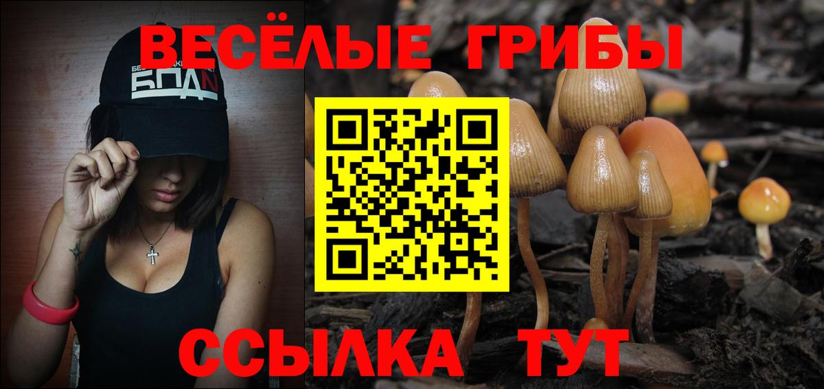 Псилоцибиновые грибы GOLDEN TEACHER Бугульма